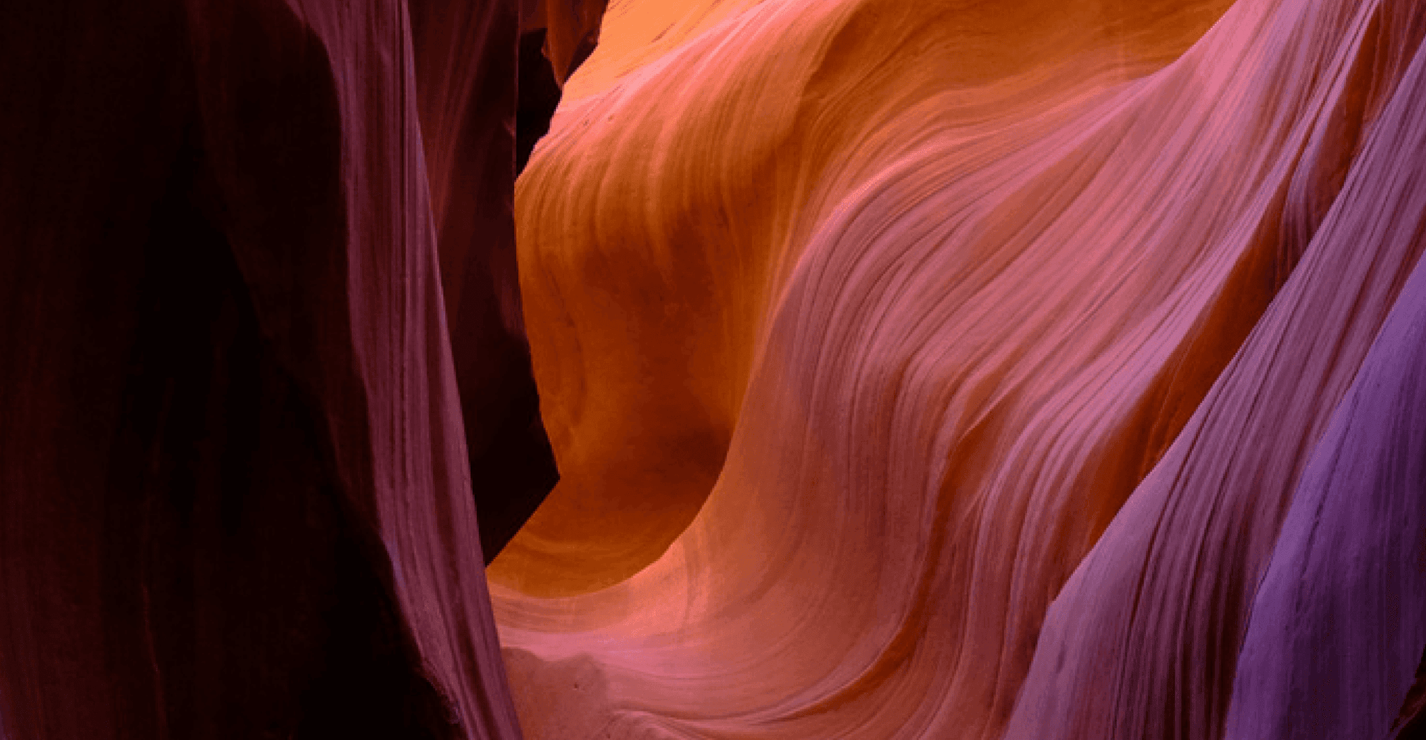 Accelerating Primary Data Collection and Accuracy with AI